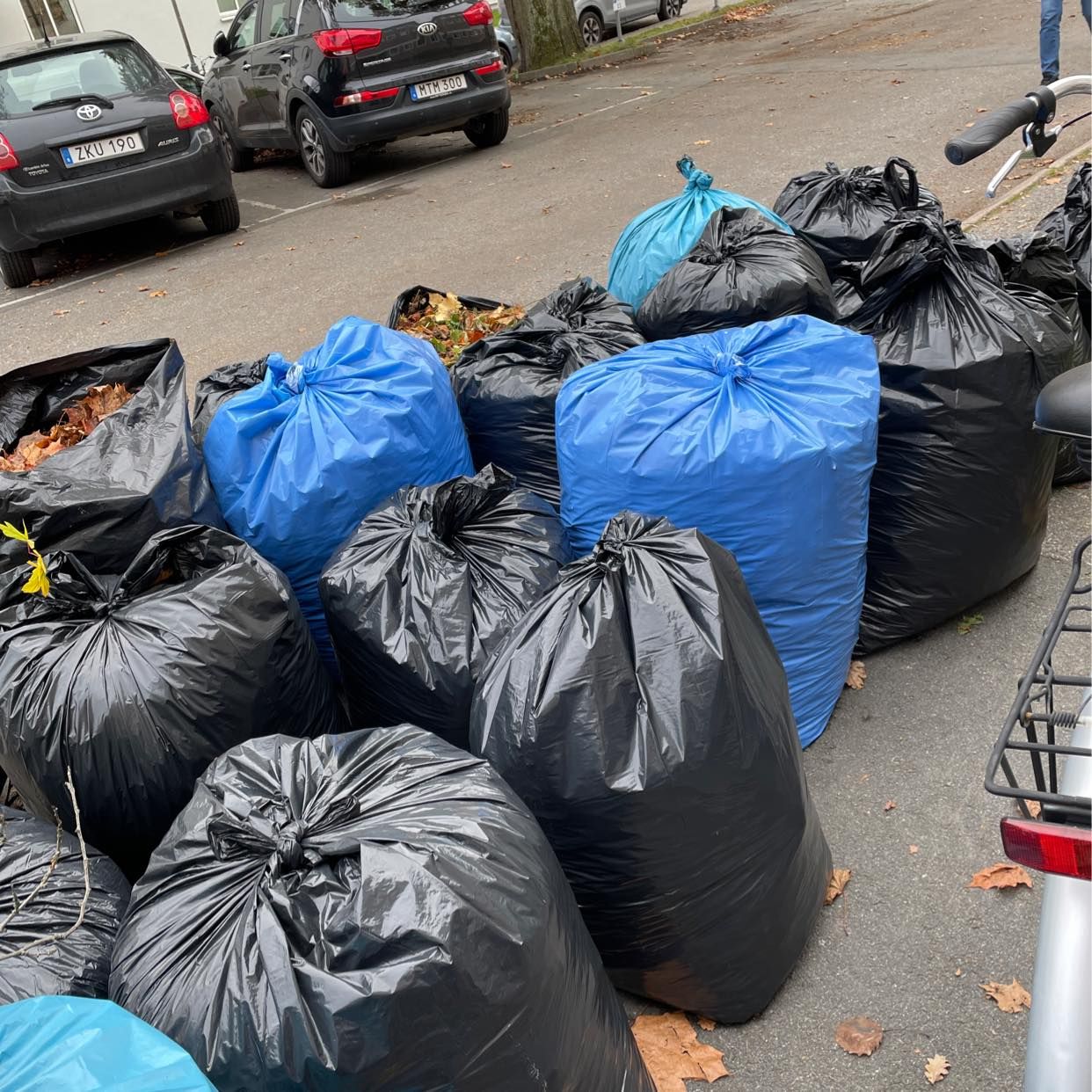 image of Soppåsar med löv, grennar - Hägersten