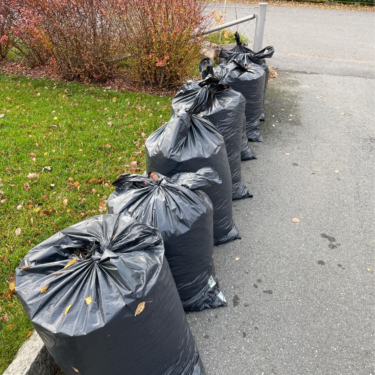 image of 7 säckar trädgårdsavfall - Huddinge