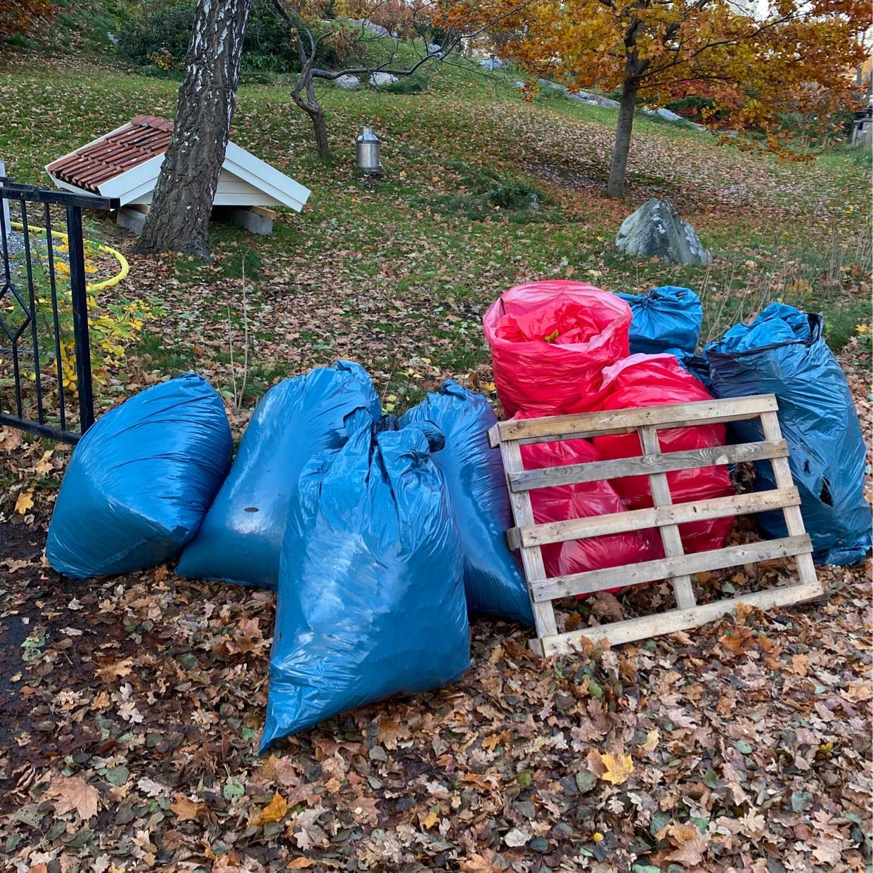 image of 4lövsäckar 3träd 3övrigt. - Nacka