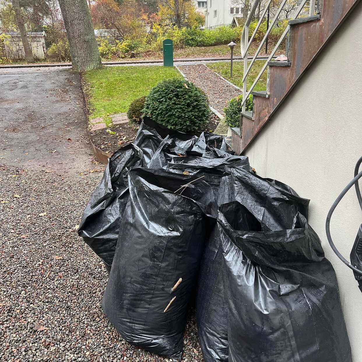 image of Ca 7 säckar löv - Bromma