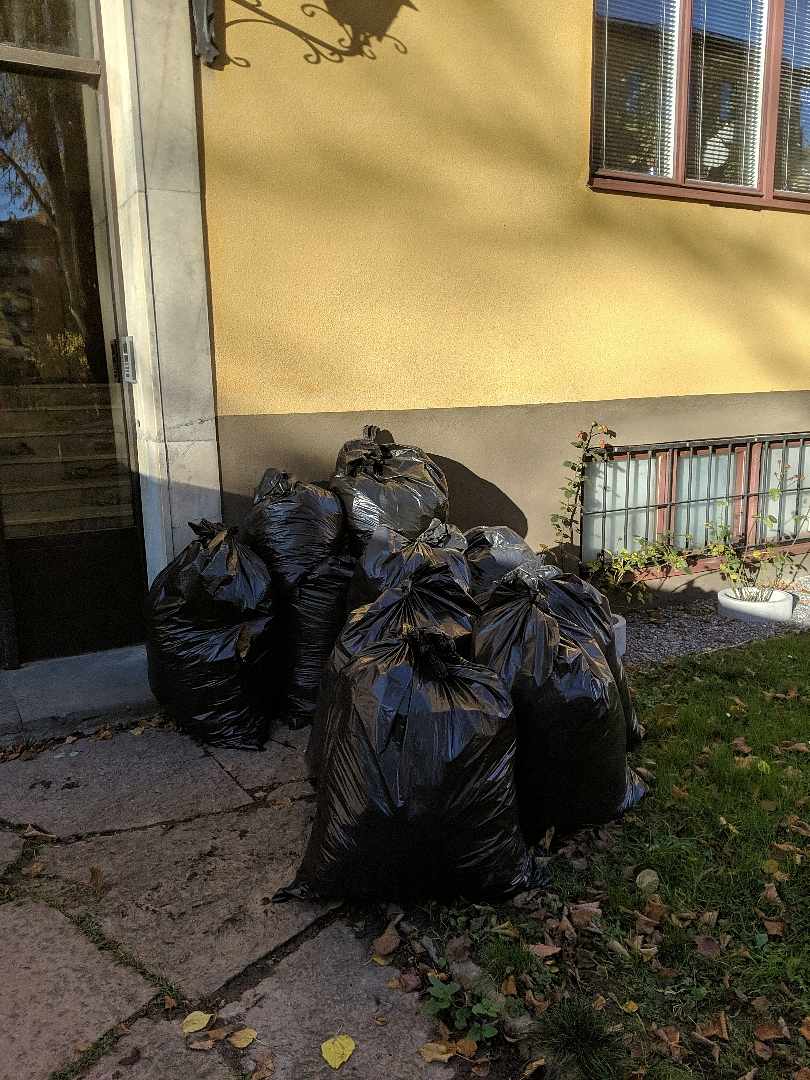image of 11 bags of leaves - Solna