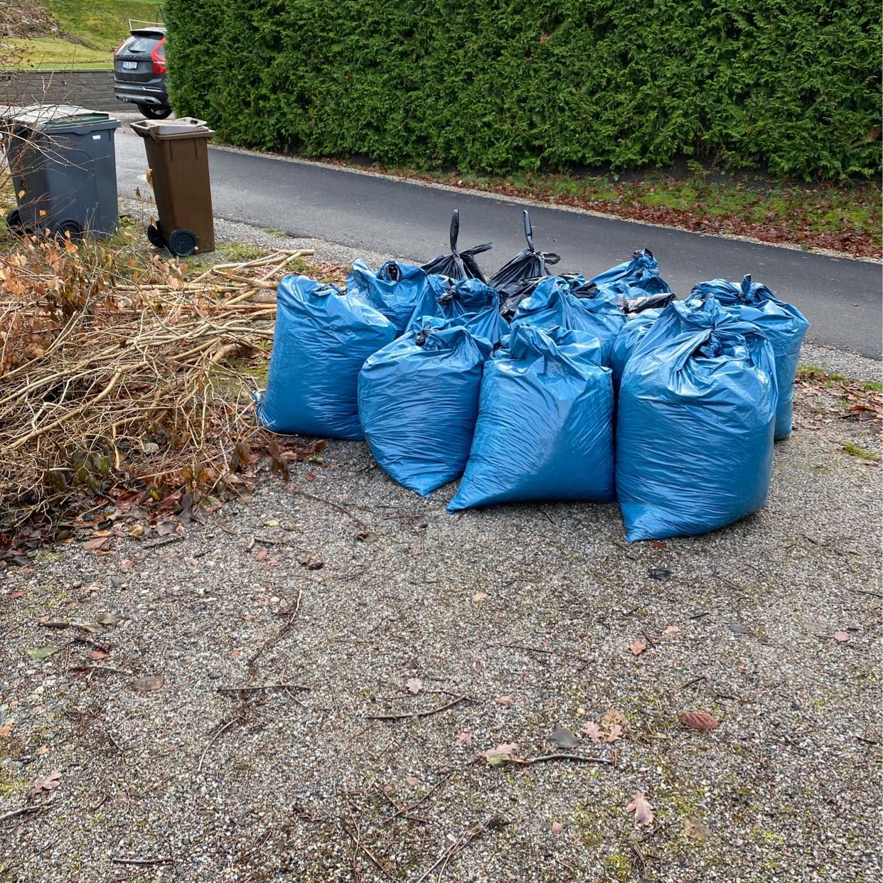 image of Grenar, 14 säckar löv - Värmdö