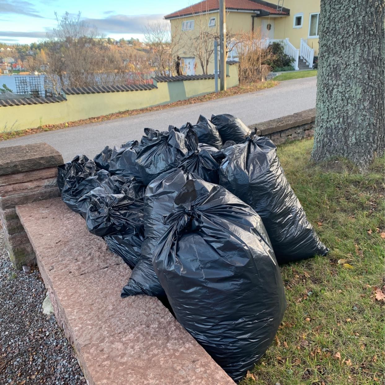 image of Bortfördes 16 säckar löv - Sollentuna