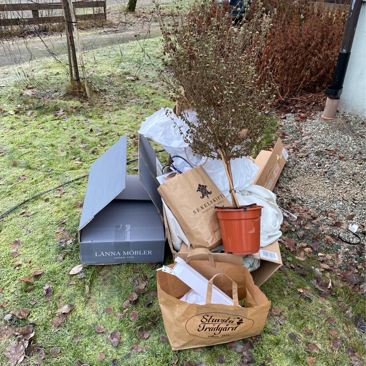 image of kartong, plast,blomma - 