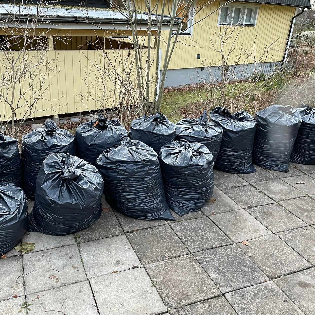 image of 12 säckar med löv. - Danderyd