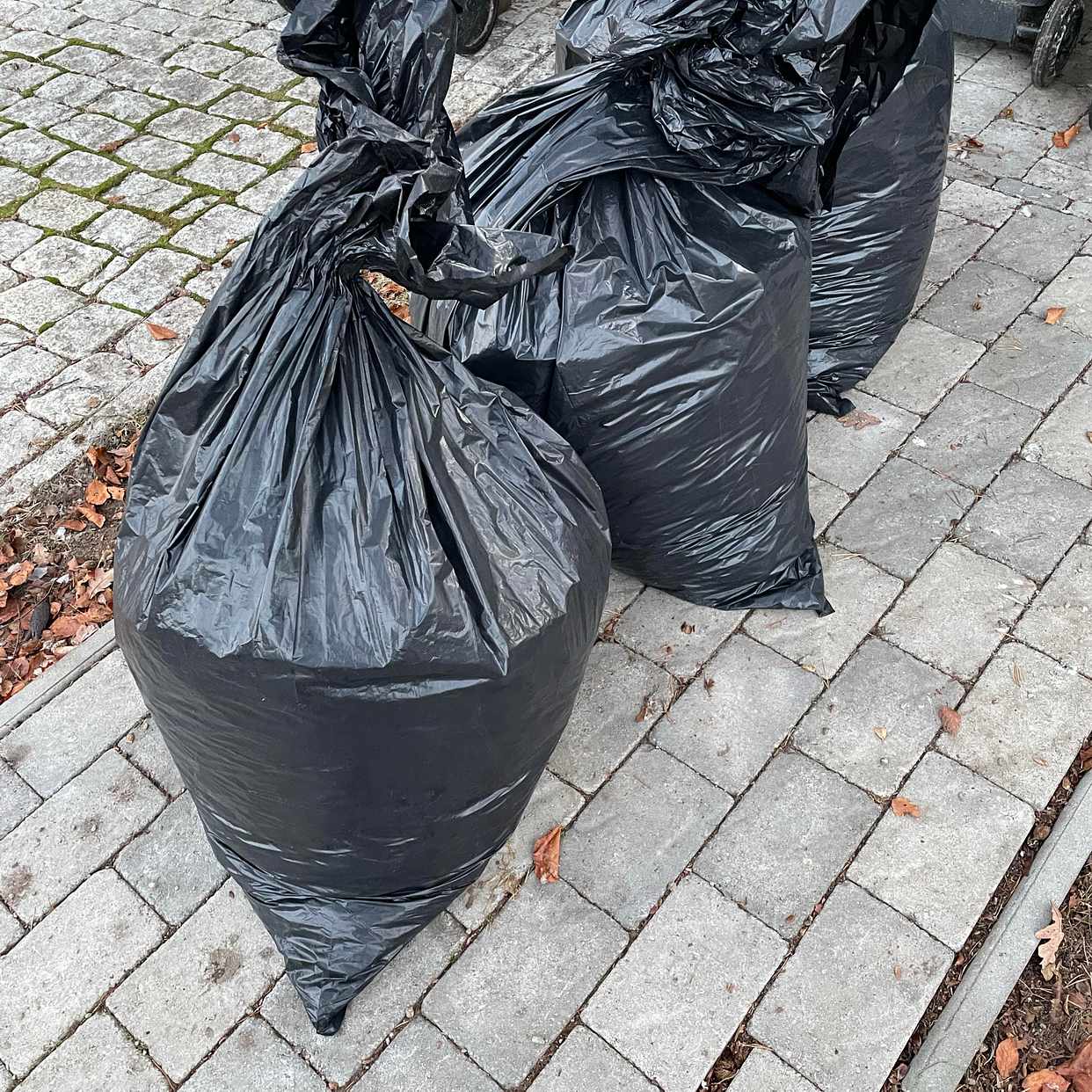 image of 3säckar med löv - Djursholm
