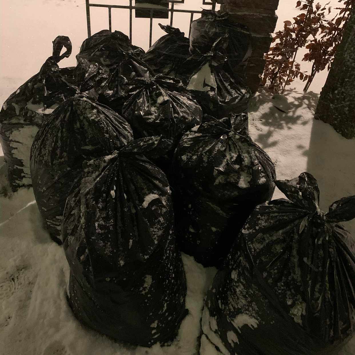 image of Remove garden waste - Bromma