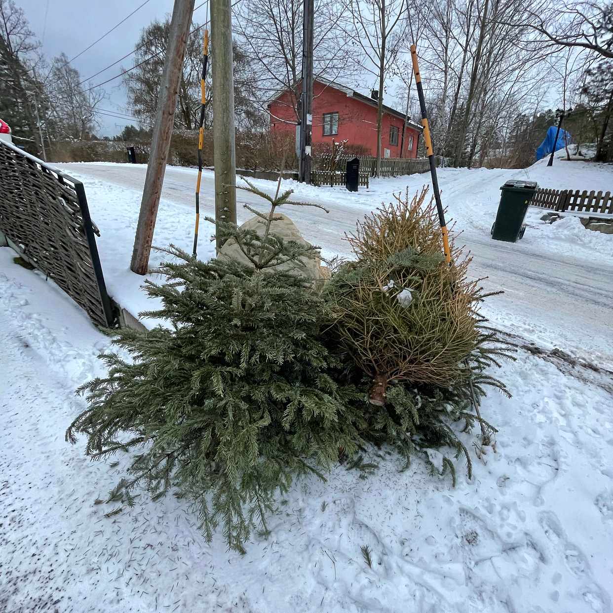 image of 6st granar - Saltsjö-Boo