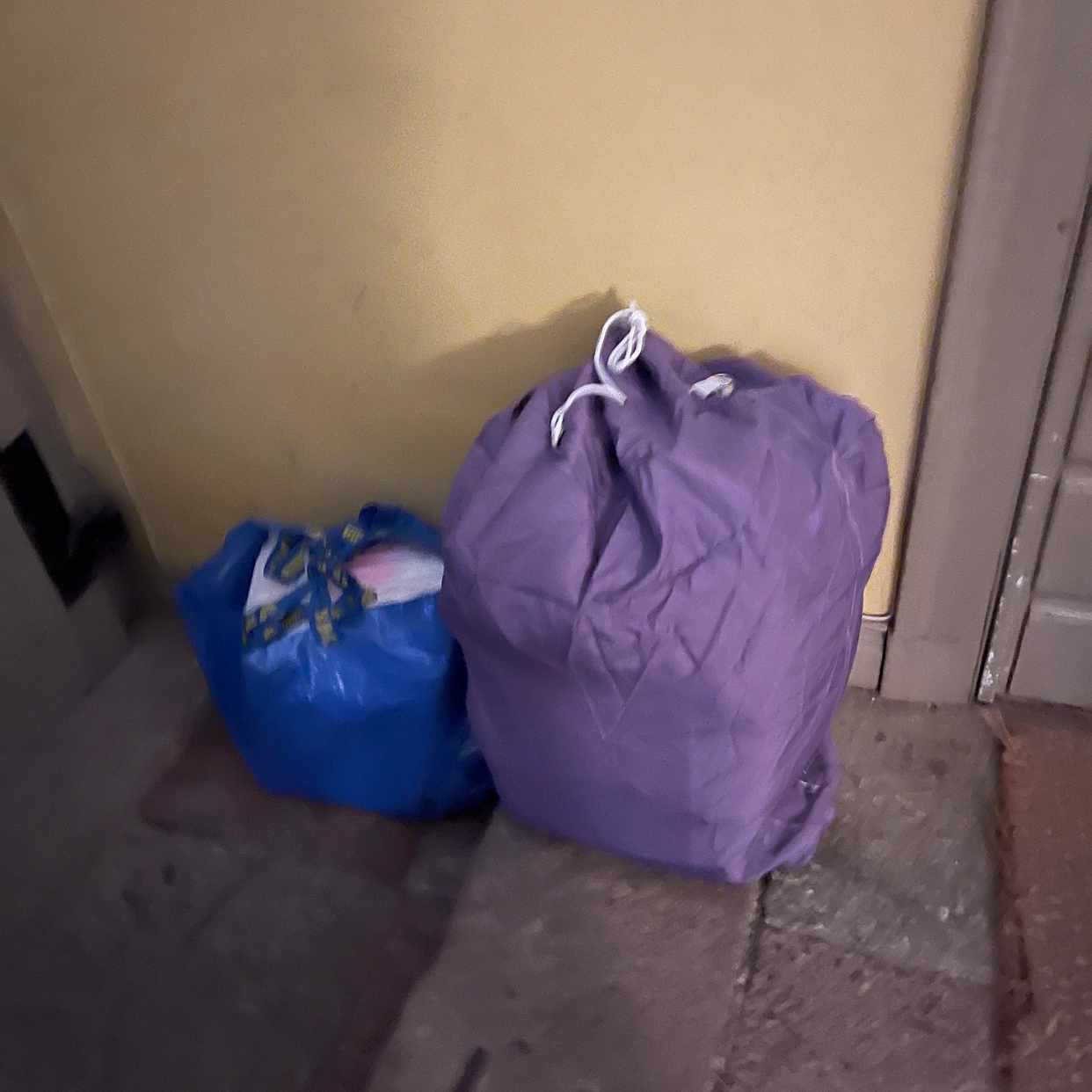 image of Flytta de två påsarna - 