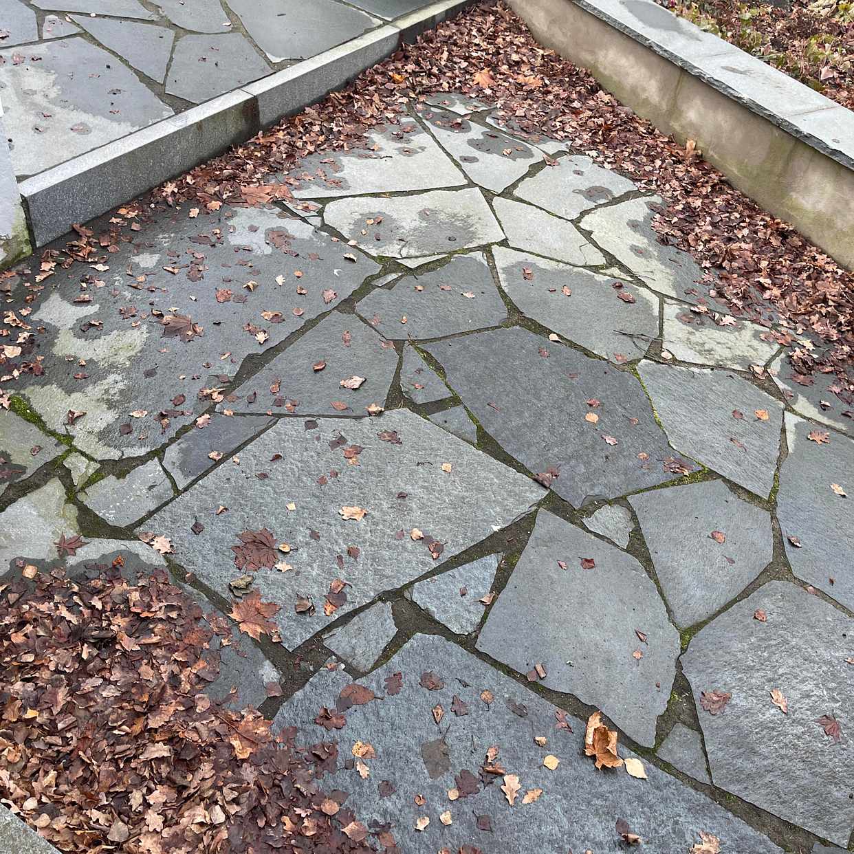 image of Hjälp med att kratta löv - Lidingö