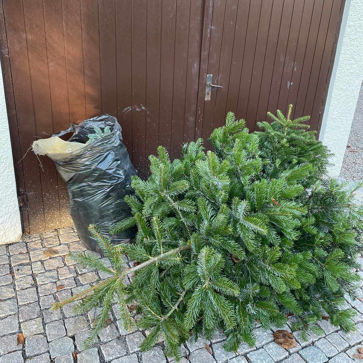 image of Bli av med gran - Göteborg