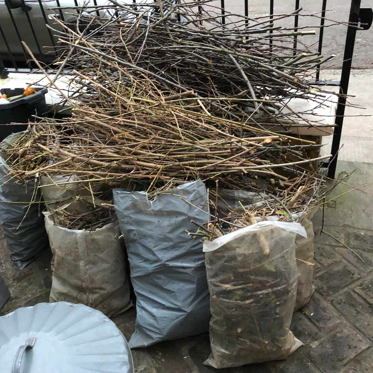 Apple tree cuttings Richmond Upon Thames Tiptapp