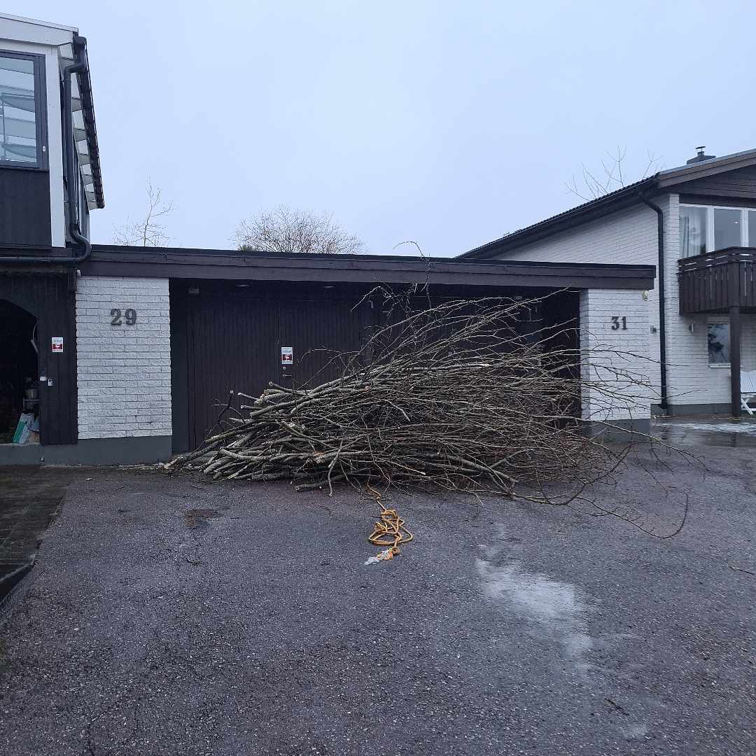 image of Ris - Spånga