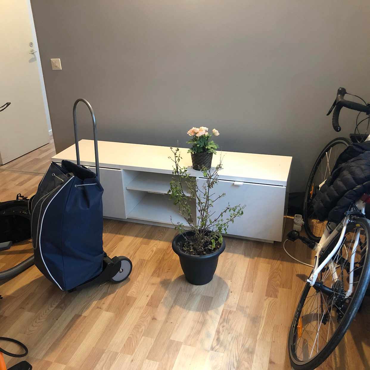 image of Moving out - 