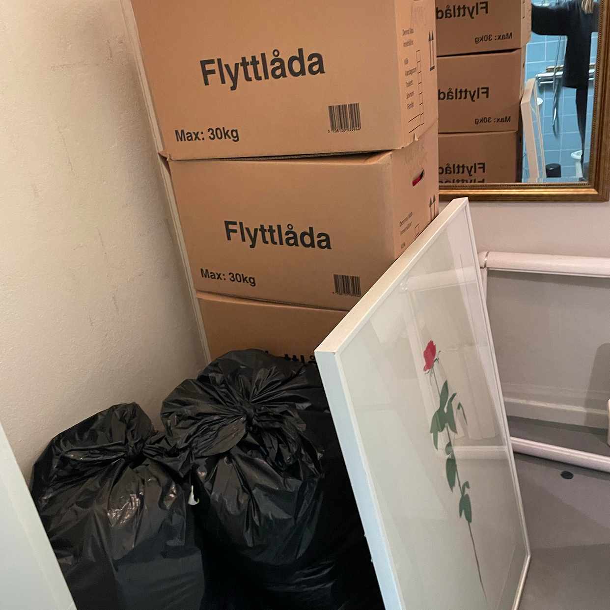 image of Flytt - 