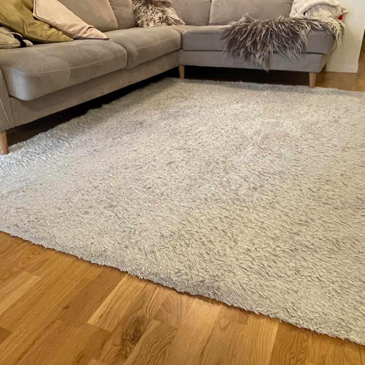 image of White Carpet for Free - Stockholm City