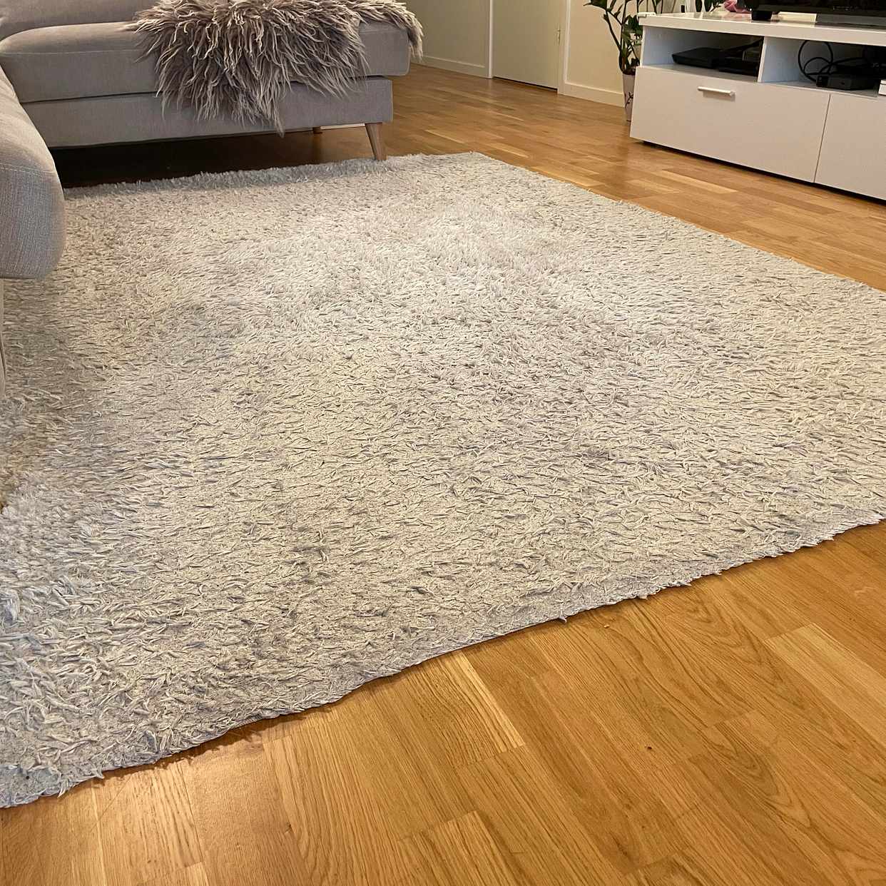 image of White Carpet for Free - Stockholm City