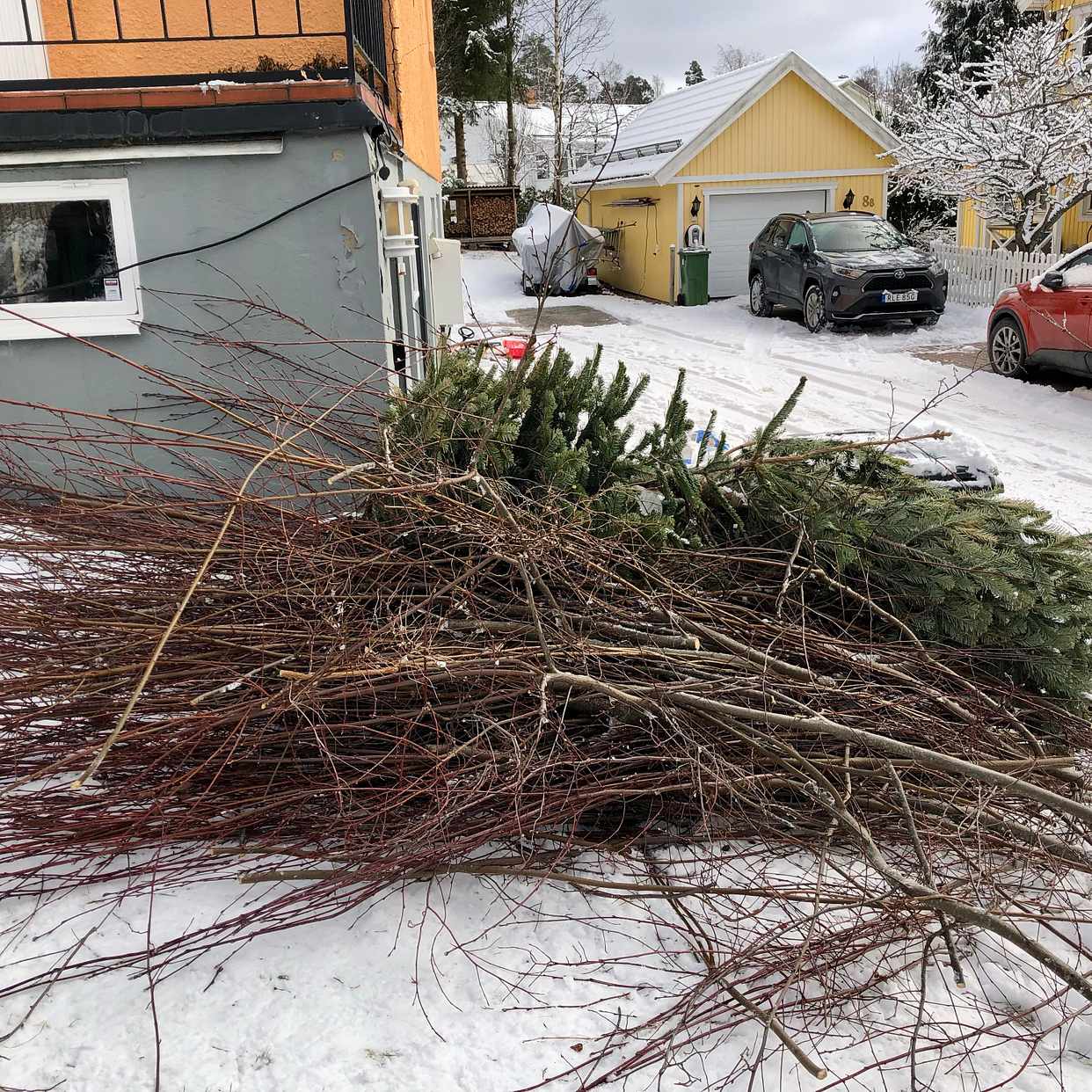 image of Hämta ris och julgranar - Järfälla