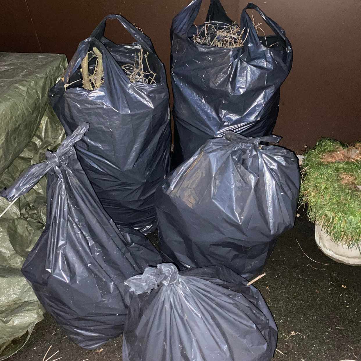 image of Hämta trädgårdsavfall - Stockholms Stad