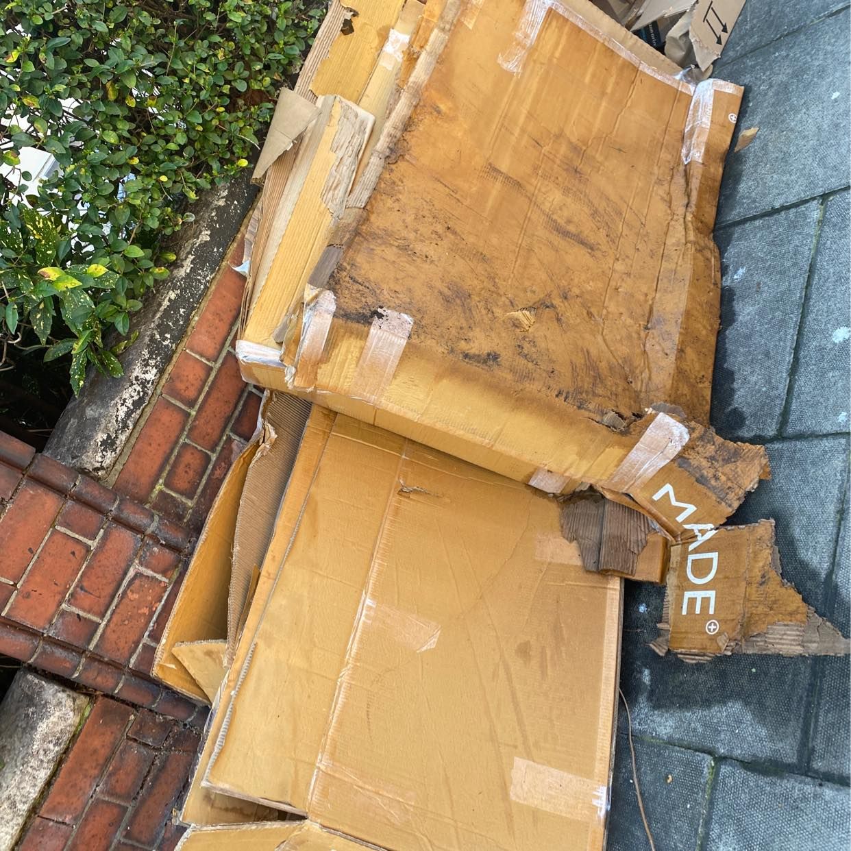 image of Remove cardboards - London