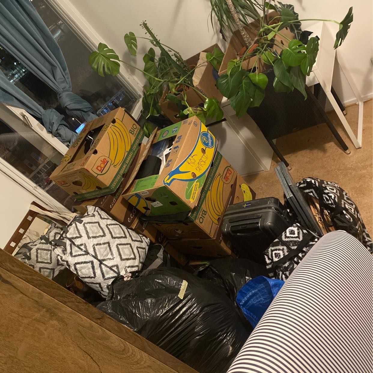 image of Kartonger, växter, säckar - 