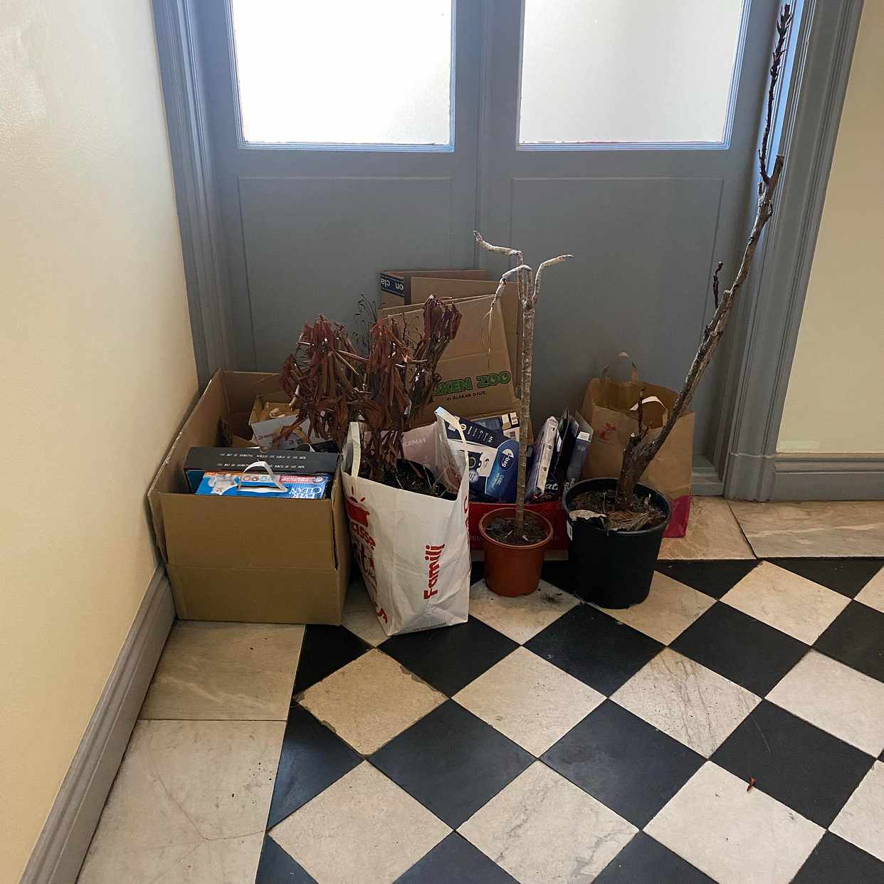 image of Cardboard, pant, plants - Stockholm