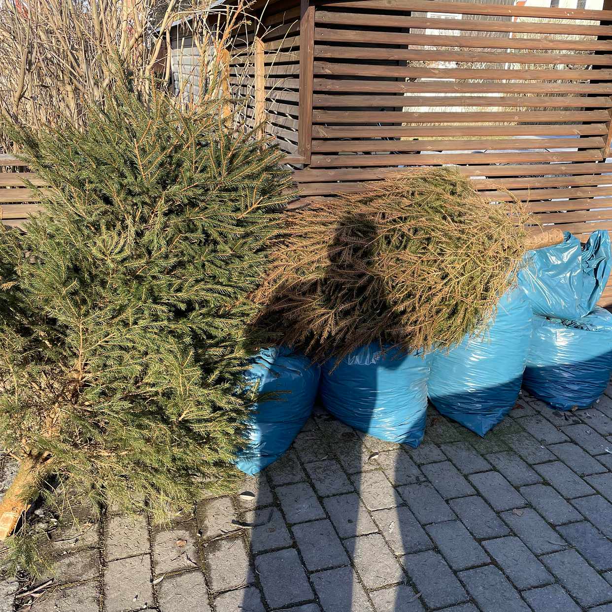 image of Två granar och fem säckar - Enskede