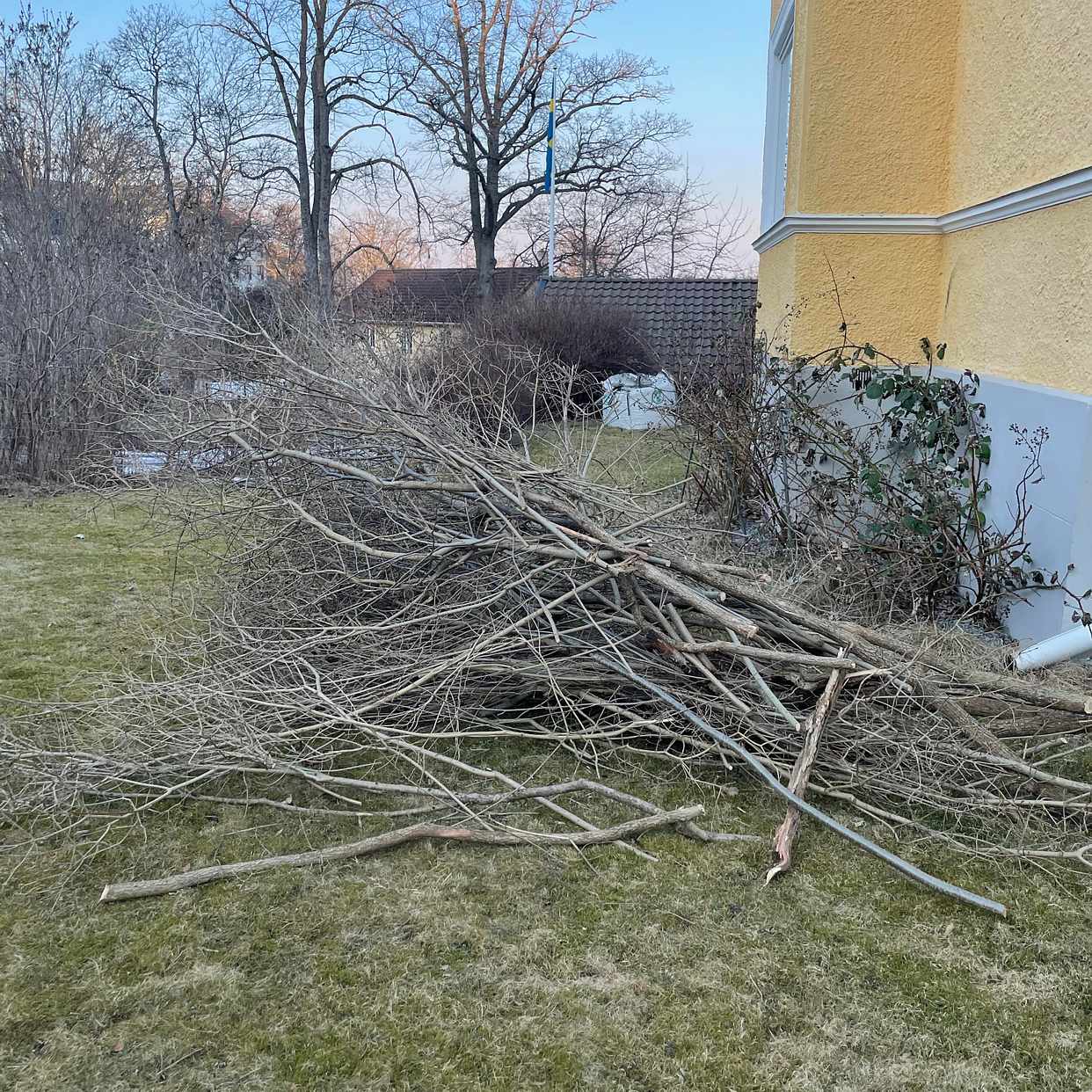 image of Hämtning av buskar/träd - Saltsjöbaden