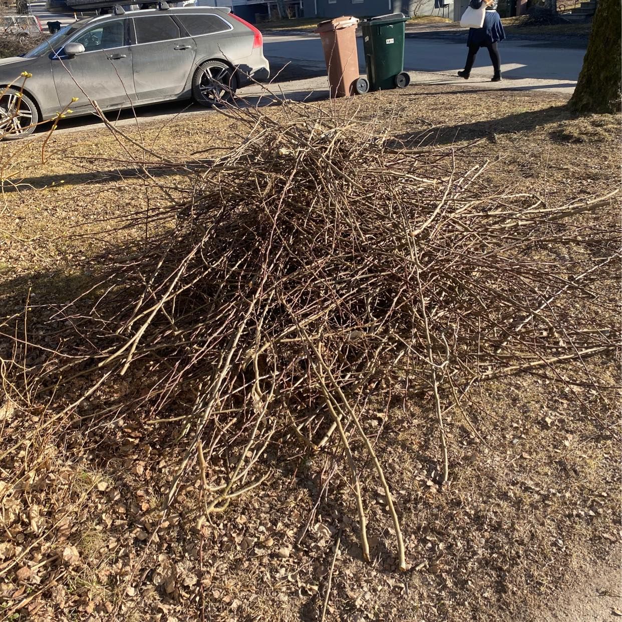 image of Large pile of branches - Bromma