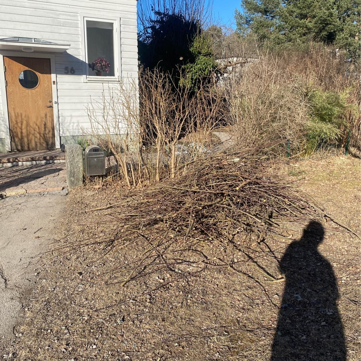 image of Large pile of branches - Bromma