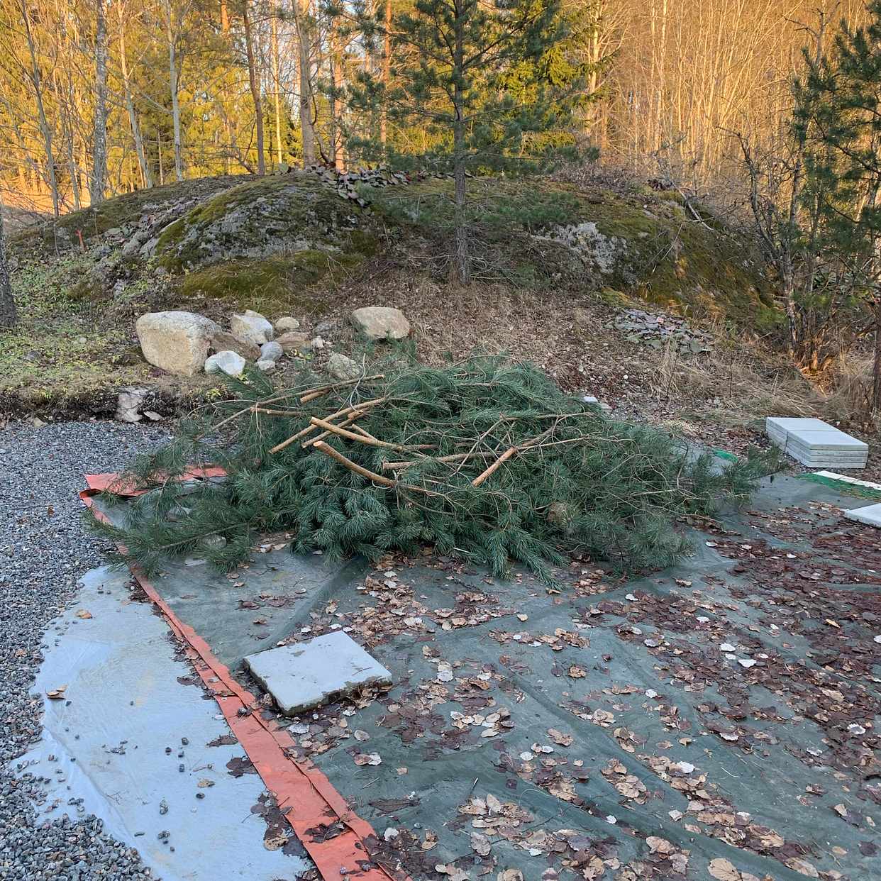 image of Hämta grenar - Tullinge