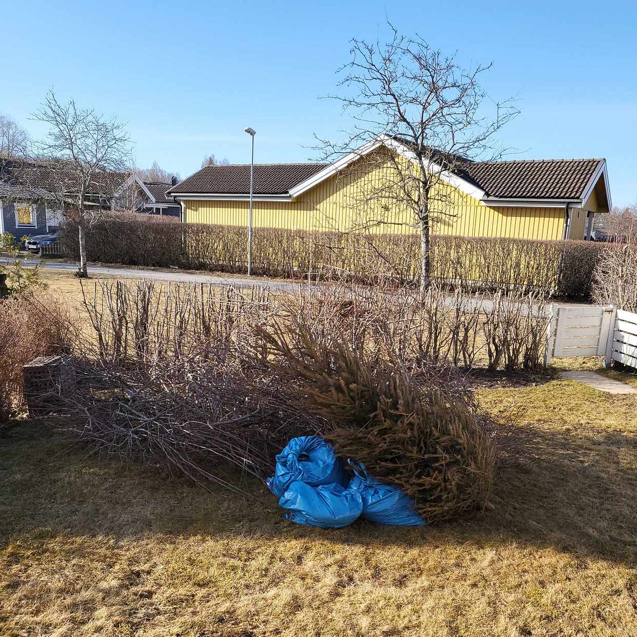 image of Grenar, julgran & löv - Haninge