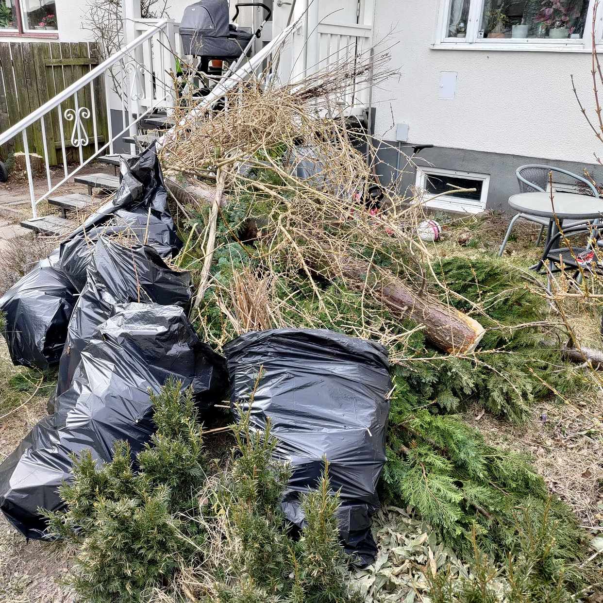 image of Kapat träd grenar och ris - Farsta