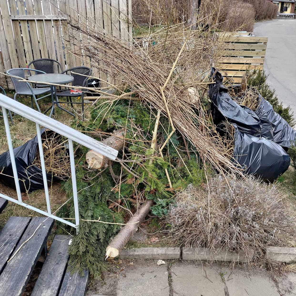 image of Kapat träd grenar och ris - Farsta