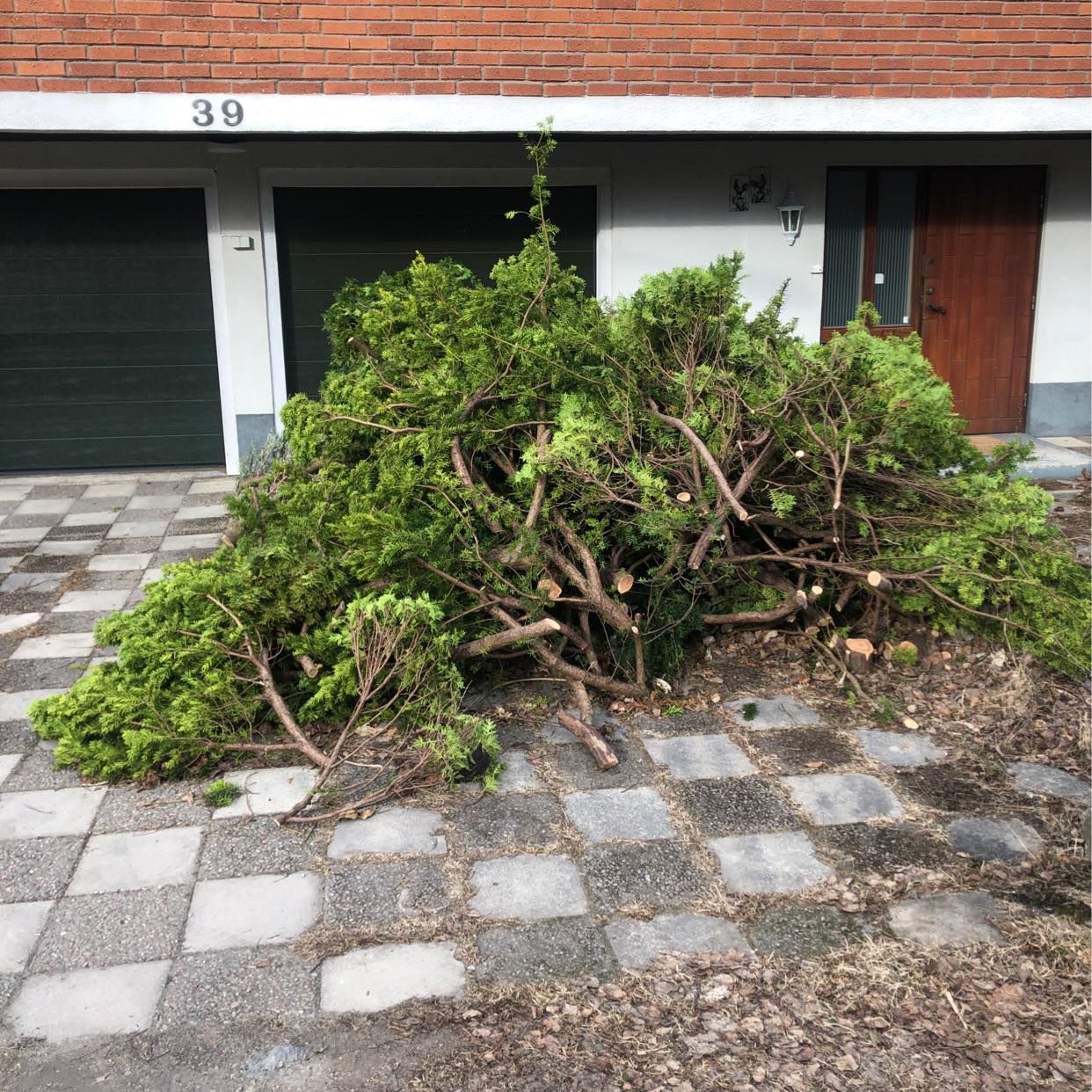 image of Stor hög med grenar - Älvsjö