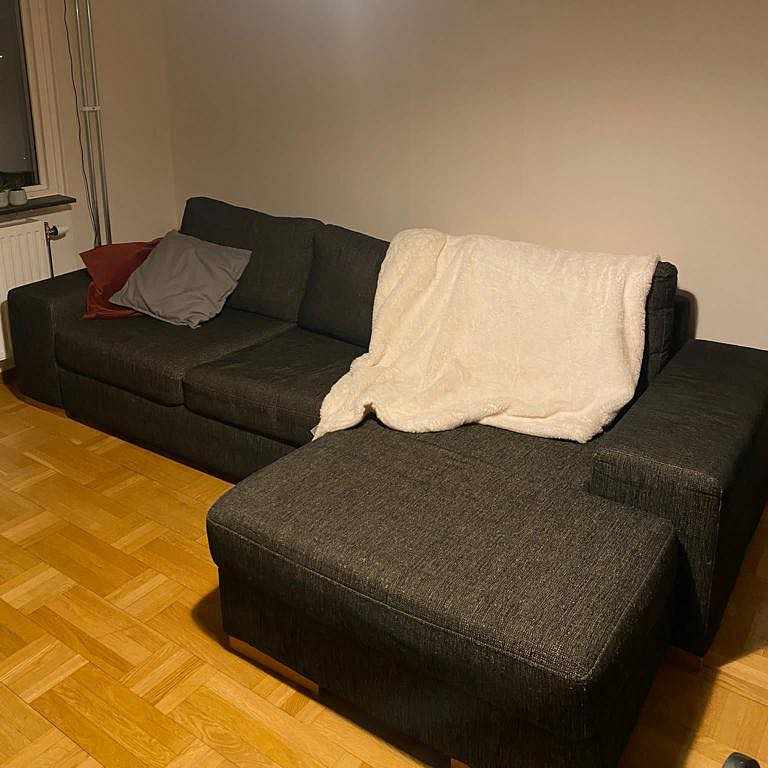 image of Couch, bed and shelf rack - 