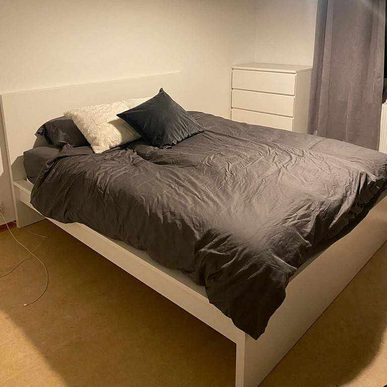 image of Couch, bed and shelf rack - 