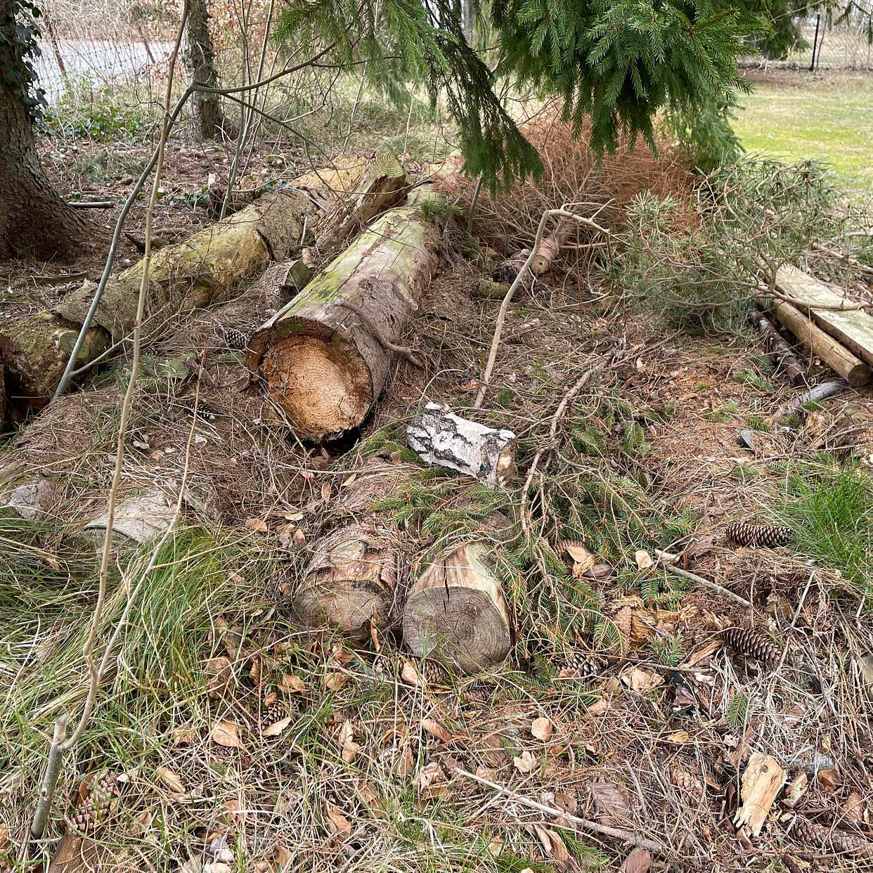 image of Emballage och trädgårdsav - Höllviken