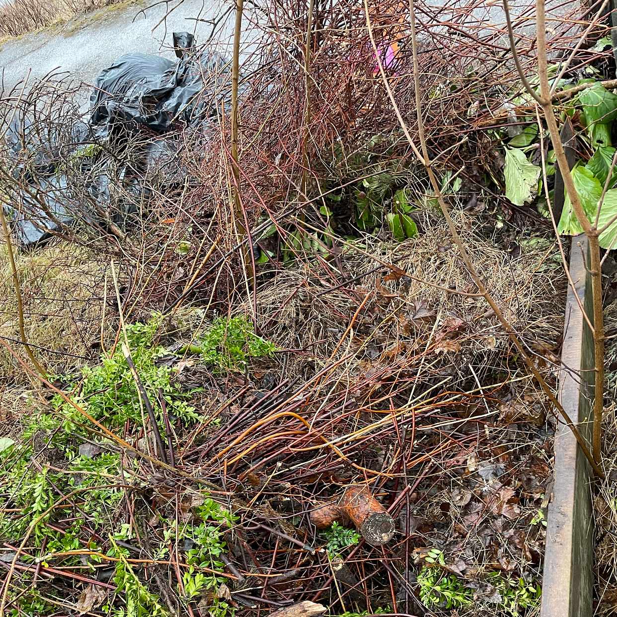 image of Trädgårdsavfall, porslin - Lidingö
