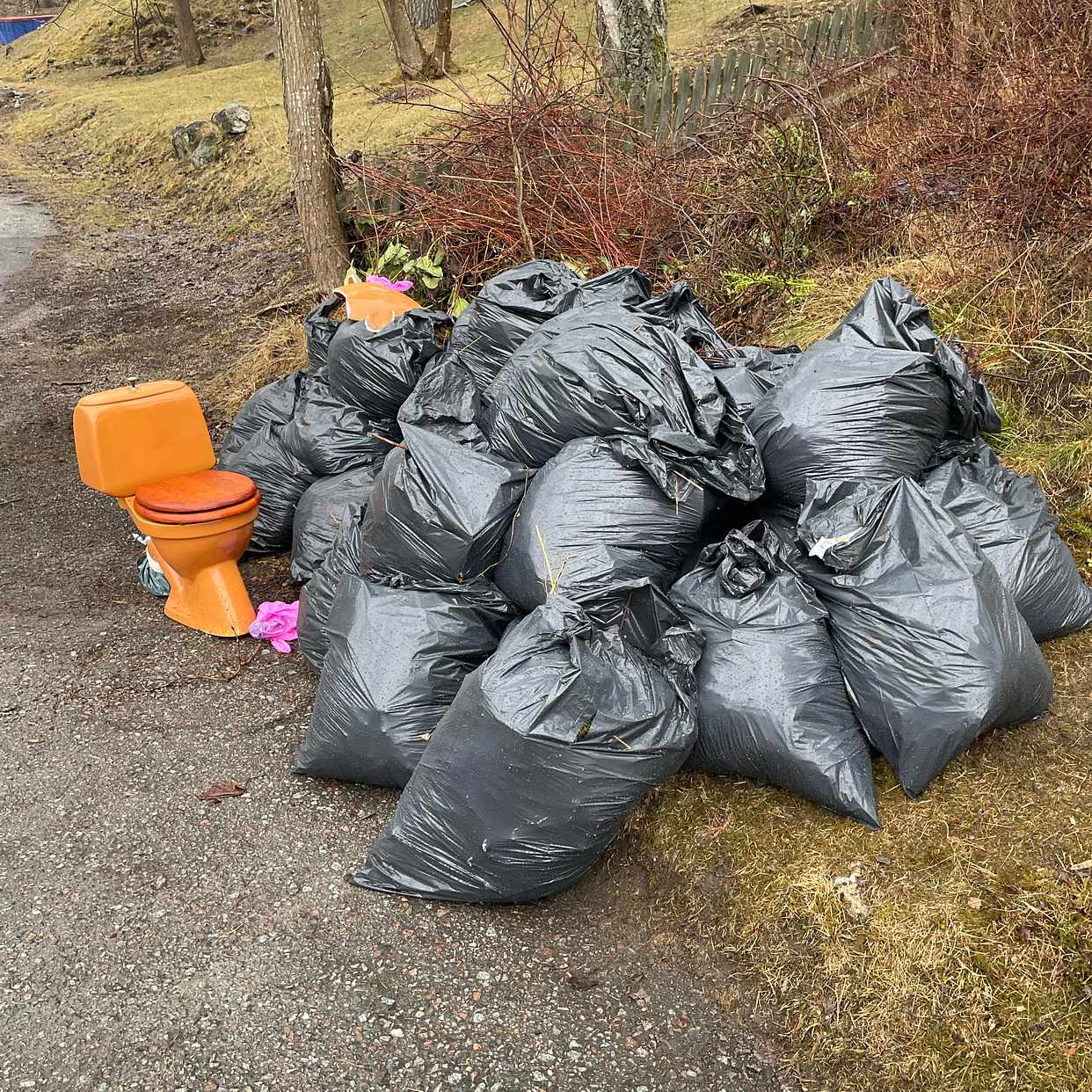 image of Trädgårdsavfall, porslin - Lidingö