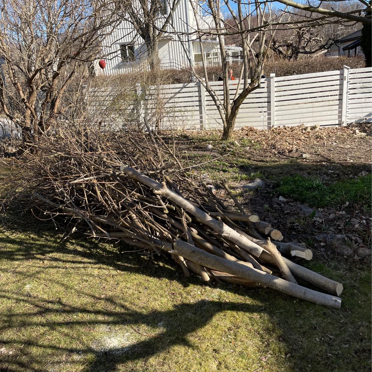 image of Hämta träd och ris - Bromma