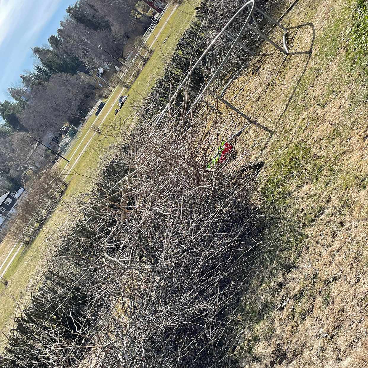 image of Garden vaste - Täby