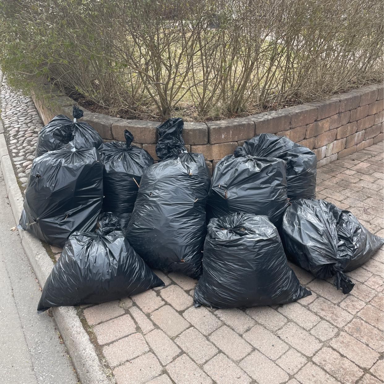 image of 10 säckar med löv - Täby