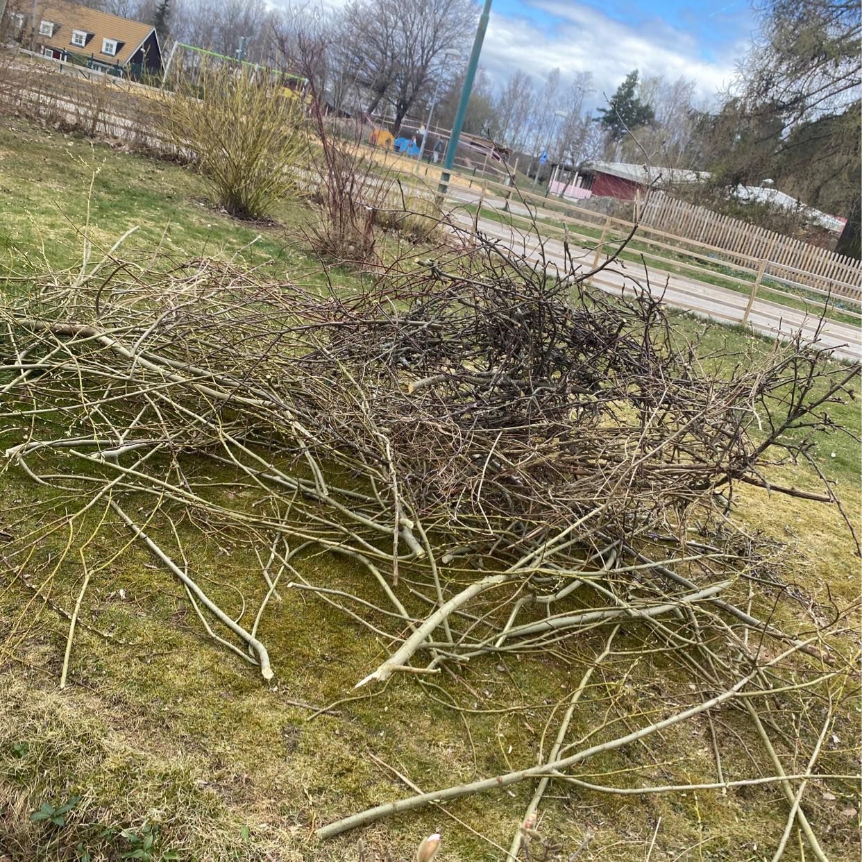 image of Tre högar med ris - Karlskoga