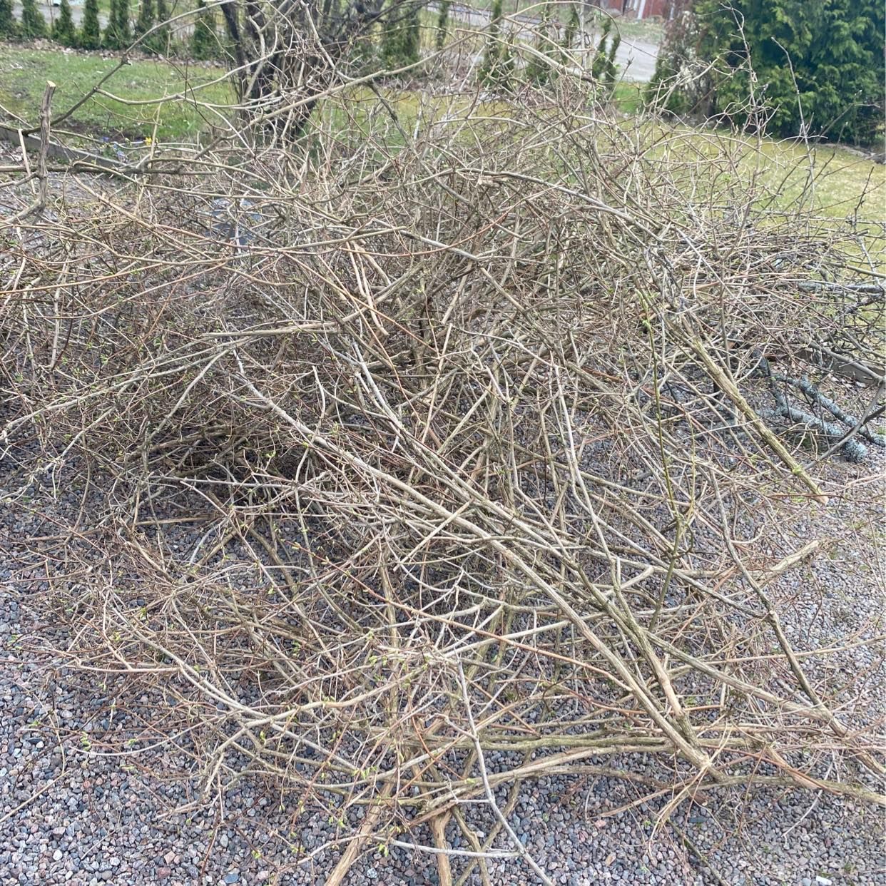 image of Tre högar med ris - Karlskoga