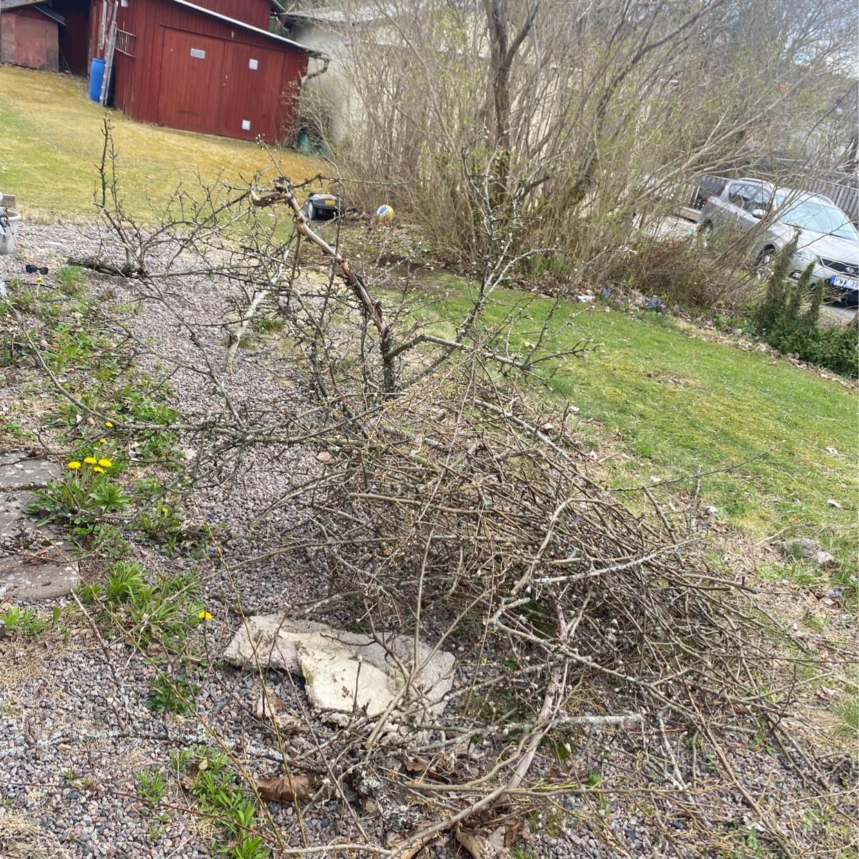 image of Tre högar med ris - Karlskoga