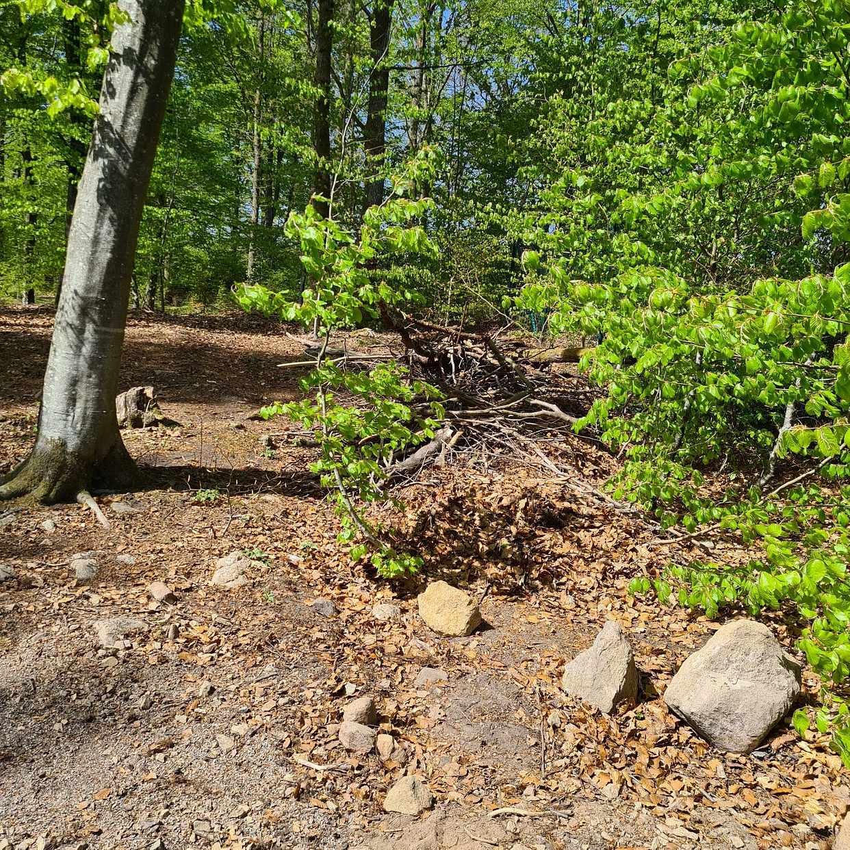 image of Trädgårdsavfall - Hjärnarp