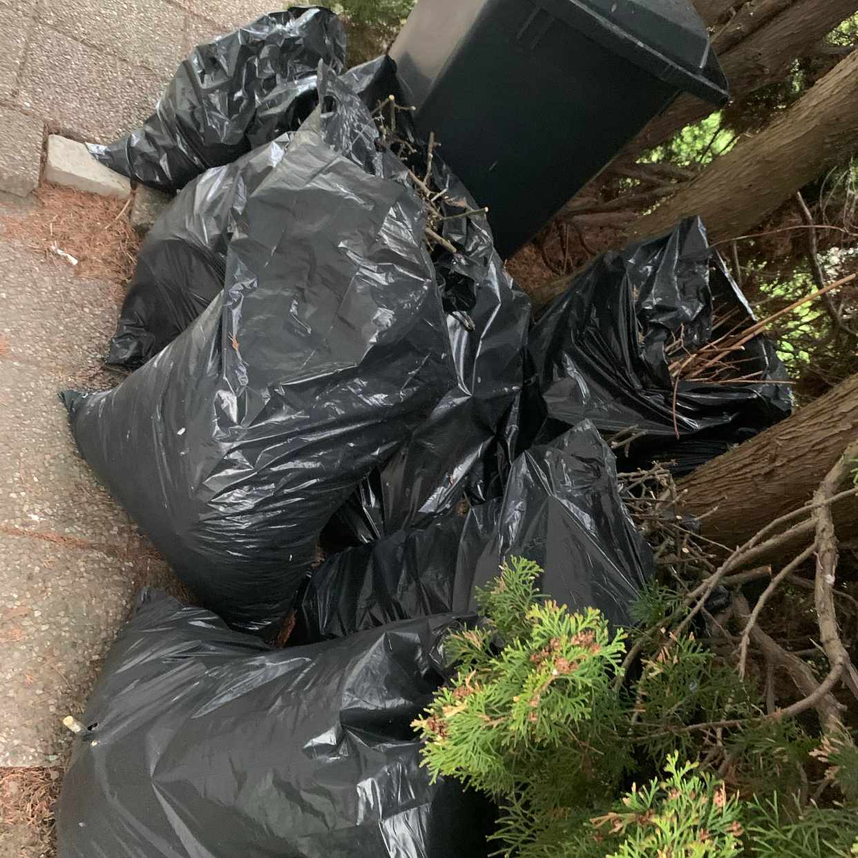 image of Leaf bags, paint - Täby