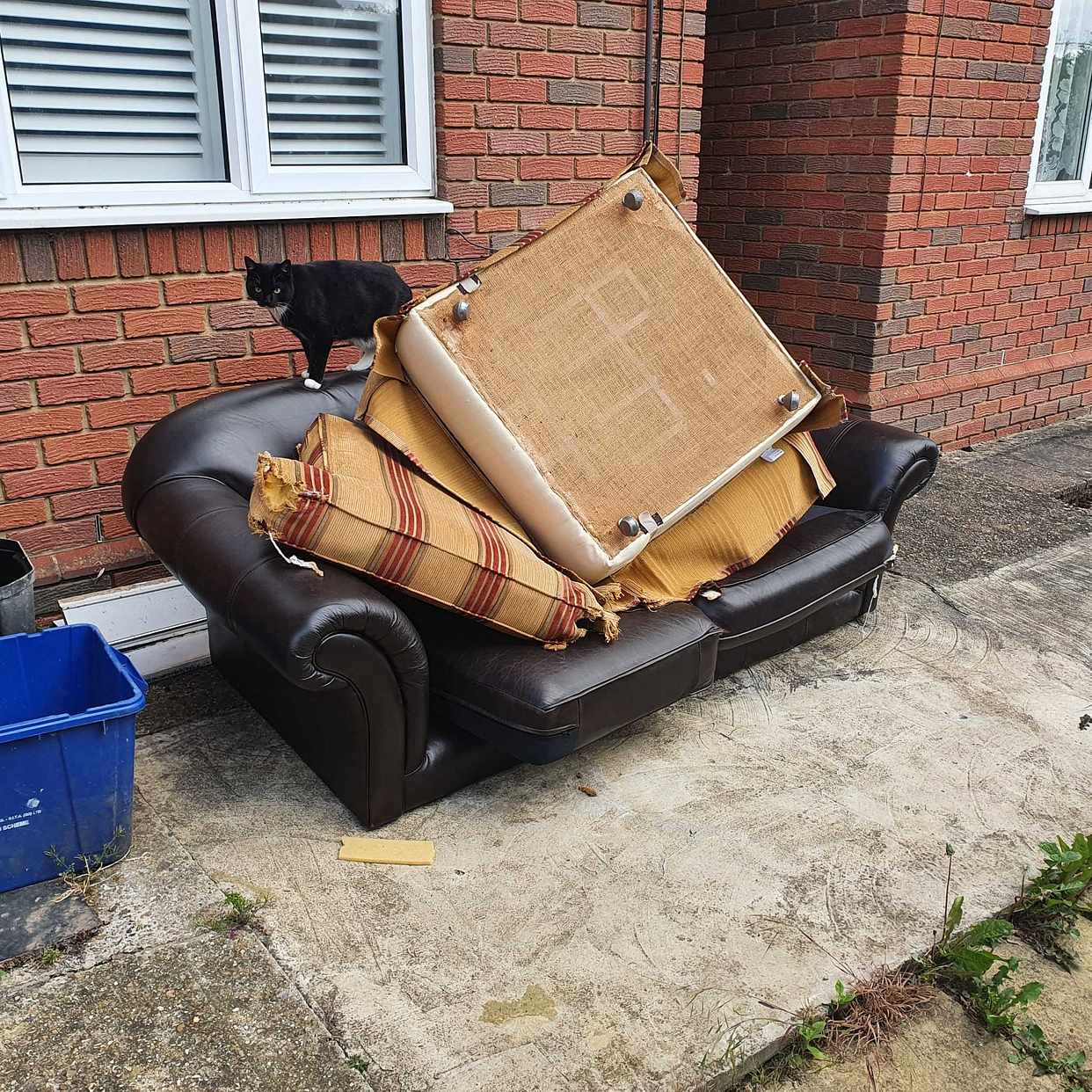 image of Sofa and ArmChair - Loughton