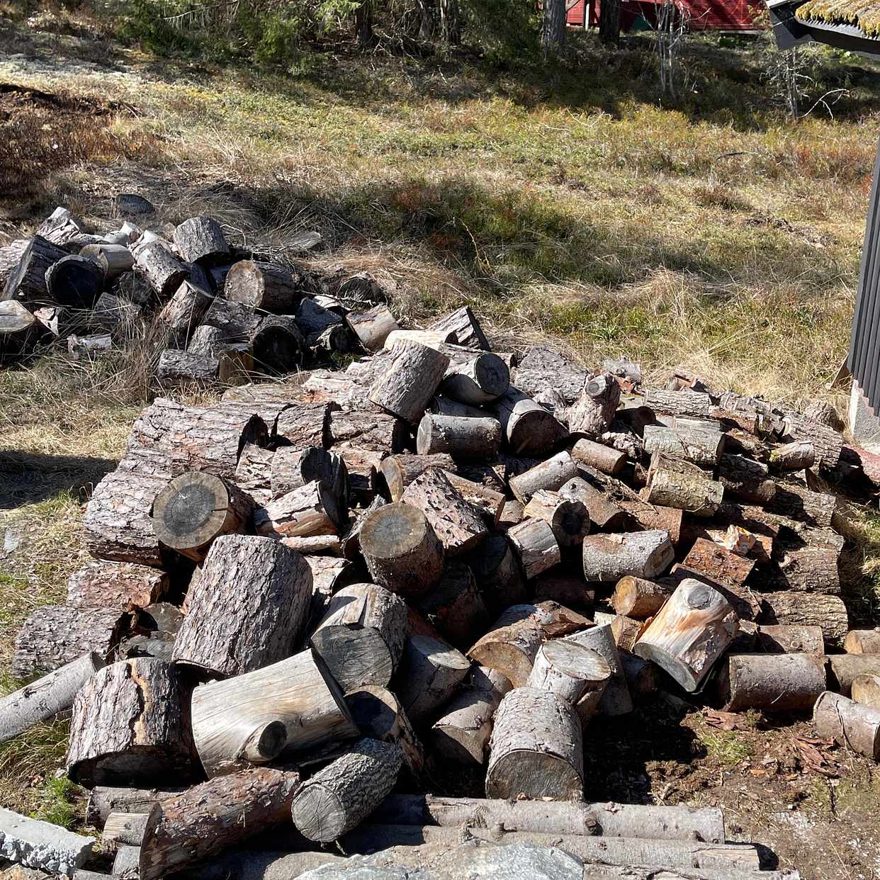 image of Upphuggna träd hämtas - Värmdö